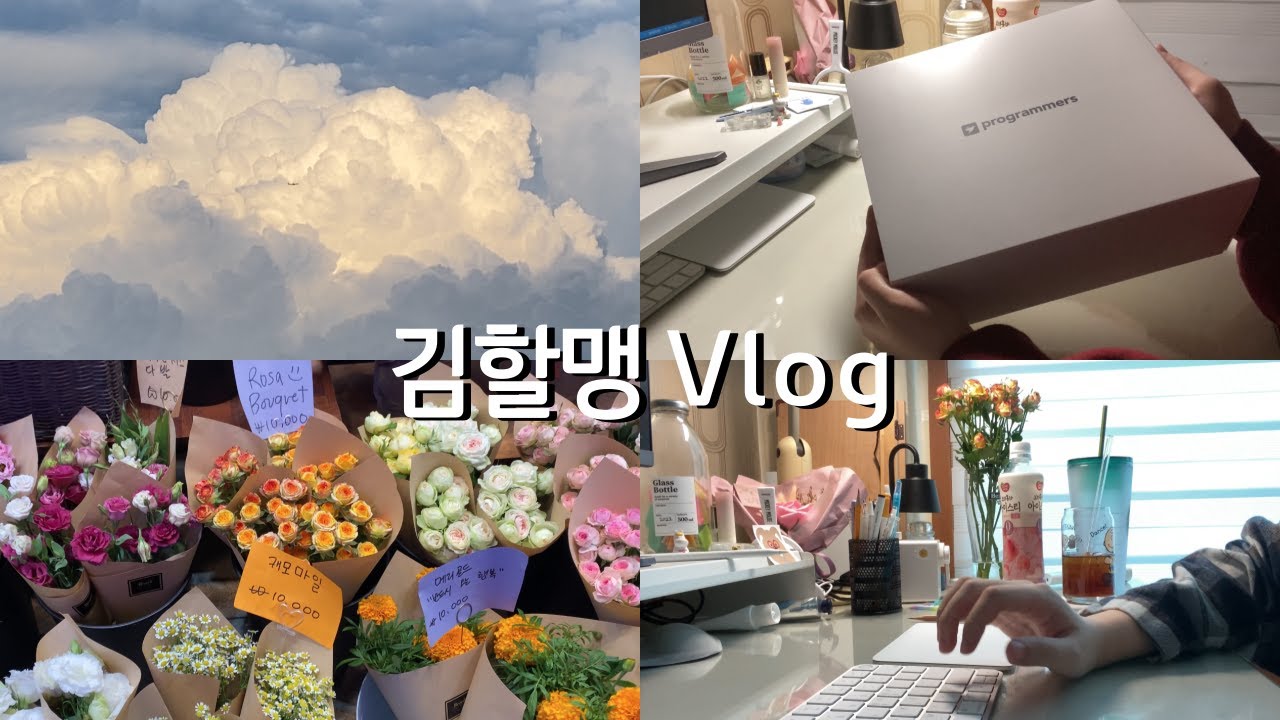 대학생 VLOG | 프로그래머스 프론트엔드 데브코스 | 1일 1커밋 대신 1일 1커피하는 삶 ☕️ | 나름 종강, 눈물의 프로젝트, 개발 공부, 행복한 돼지, 필라테스, 꽃친구🌷