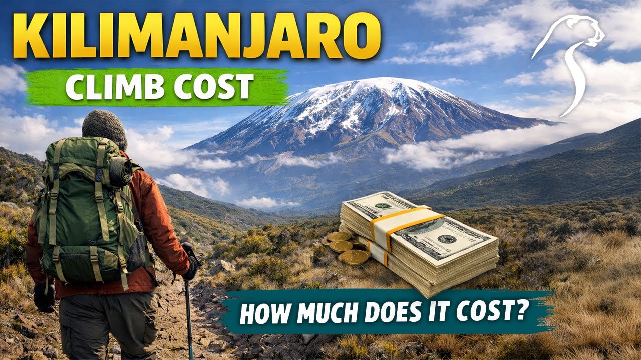 What's The Cost To Climb Kilimanjaro? | African Scenic Safaris