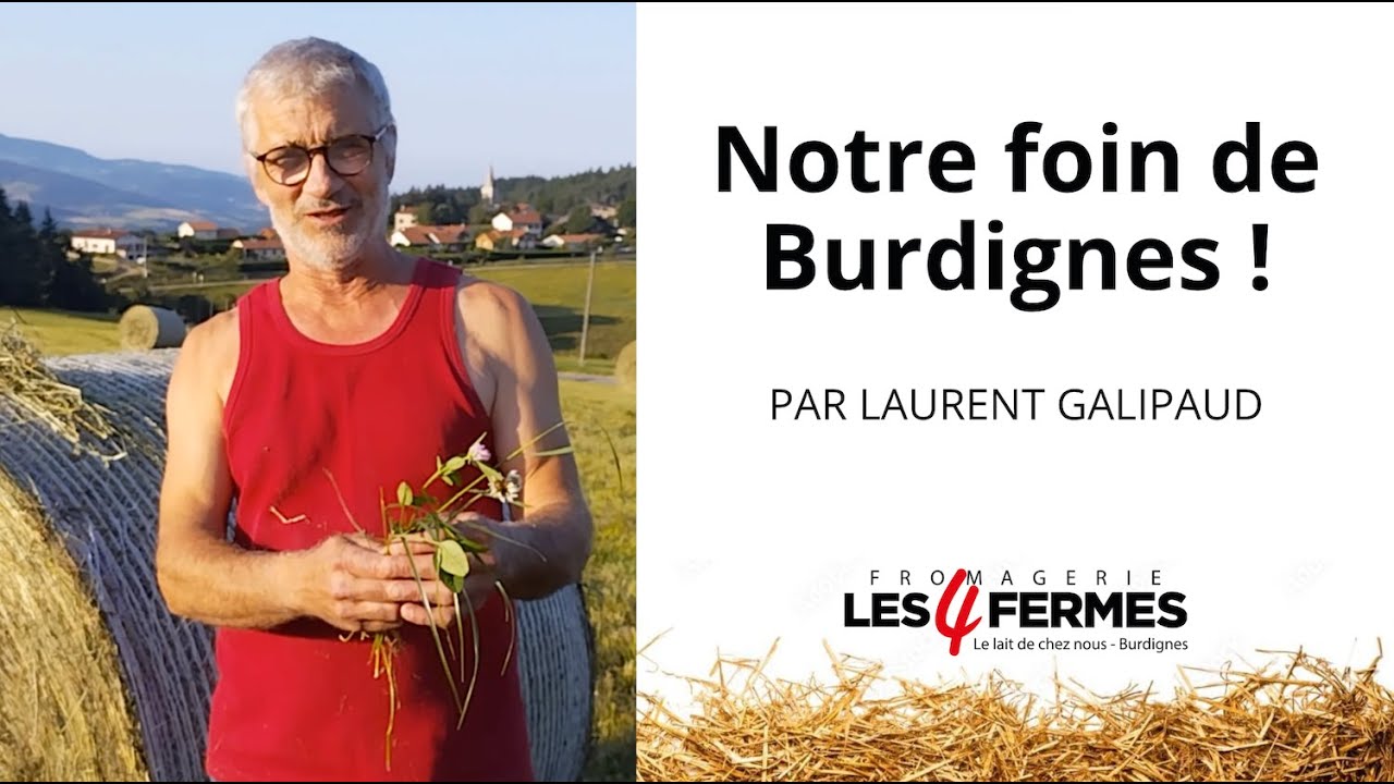 Laurent nous parle de son foin..! Fromagerie Les 4 Fermes à Burdignes. Loire-42
