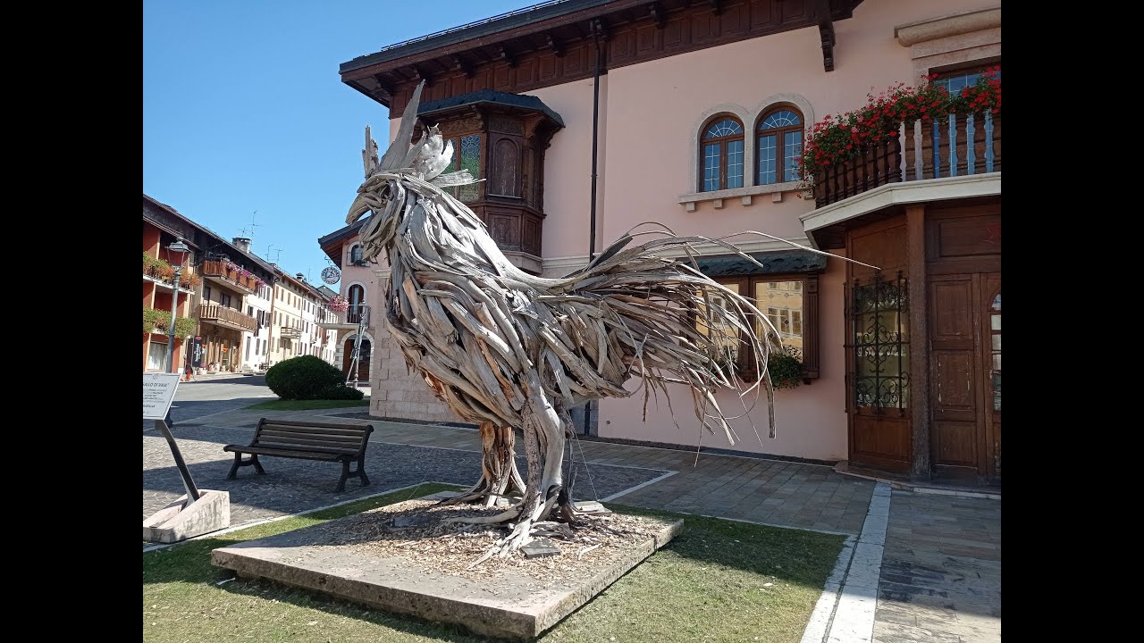 Il Gallo di Vaia - Marco Martalar -  Gallio (Vicenza) -