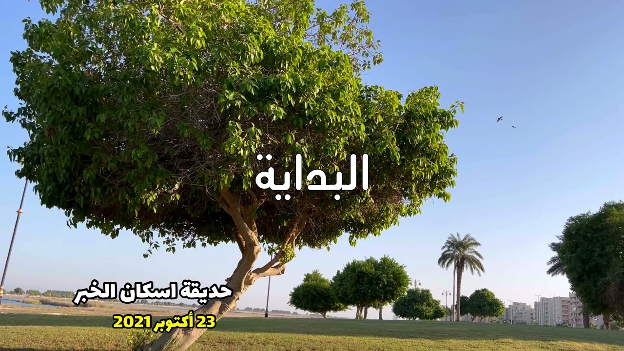 حي الجسر بالخبر ومنطقة الشبيلي وبوابات جسر البحرين ٢٣ أكتوبر، ٢٠٢١#الخبر #الجسر #الشبيلي