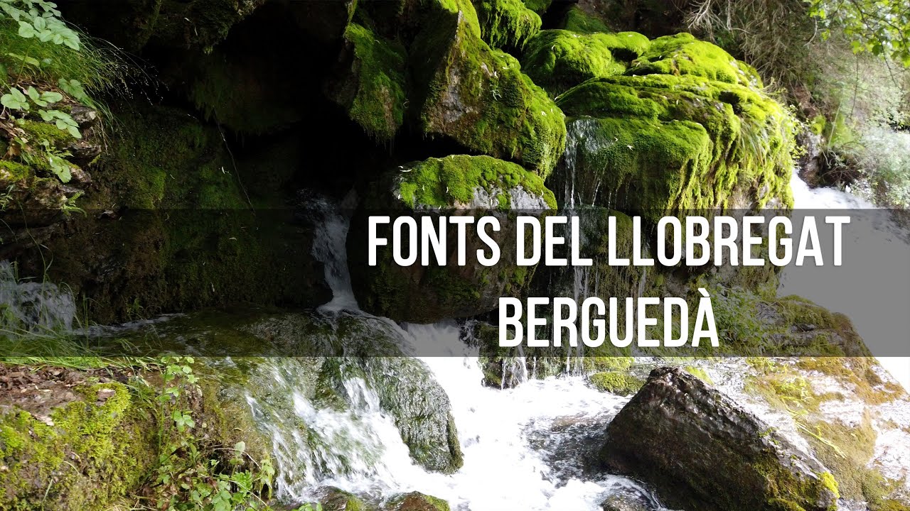 Fuentes del Llobregat Castellar de n'hug Pirineos Catalanes 4K