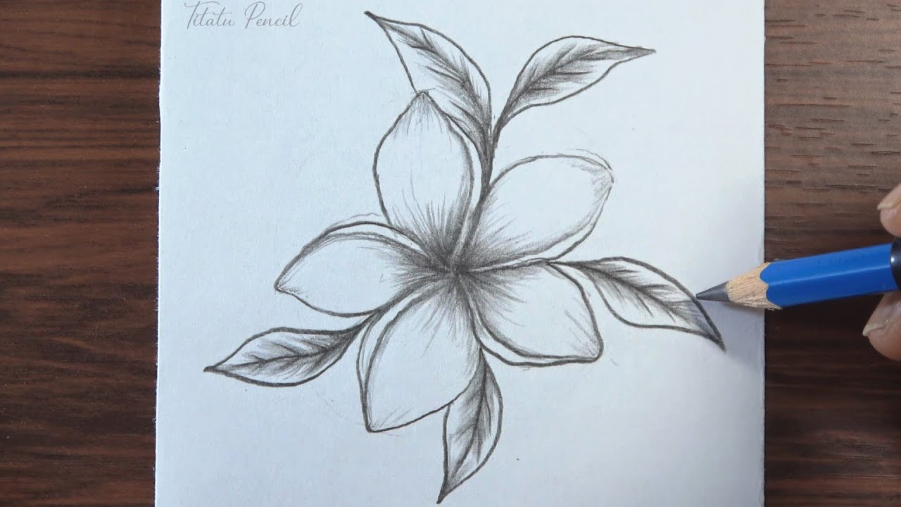 Drawing Flower Tattoo Design | Pencil drawing