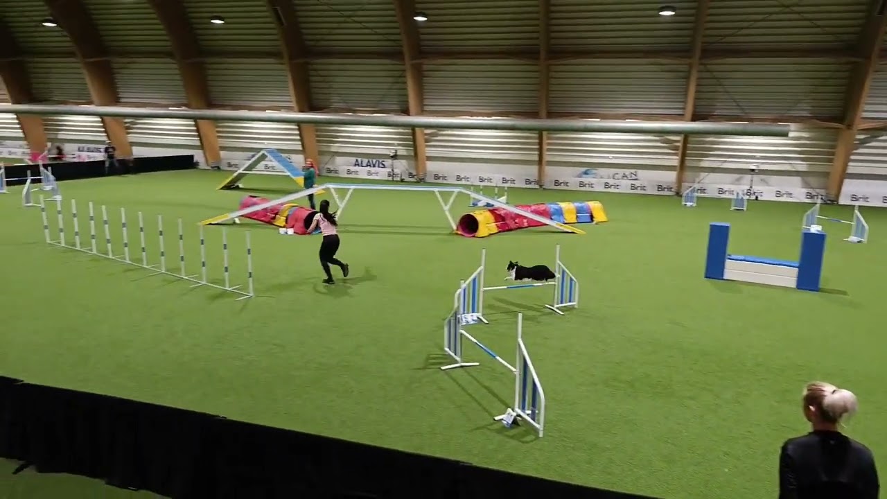 First round of Czech tryouts