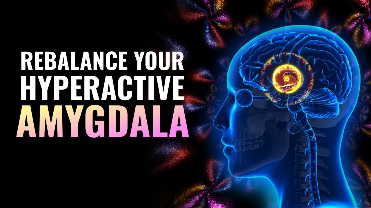 Rebalance Your Hyperactive Amygdala | Alleviate Anxiety & Panic Attacks: Reduce Body's Fear Response