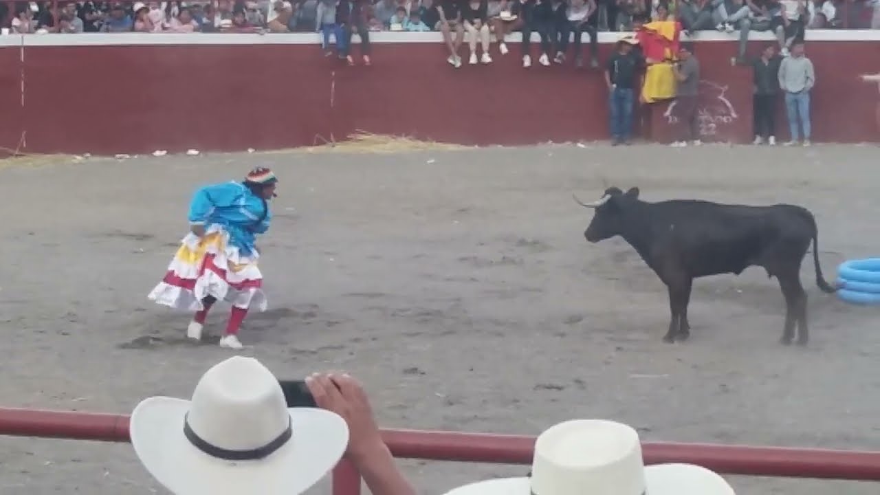 🔥 TORO LOCO VS CHOLO JUANITO Y CHOLAS CHABUCA - 