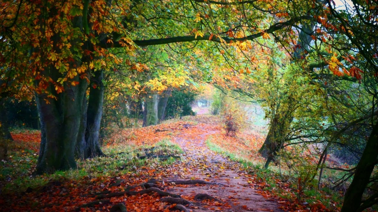 Beningbrough Park & Linton-on-Ouse, North Yorkshire - 15 November 2021