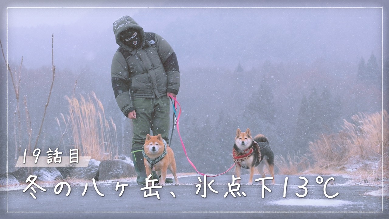 柴犬｜寒い！八ヶ岳移住の現実…涙目になった田舎暮らしの朝