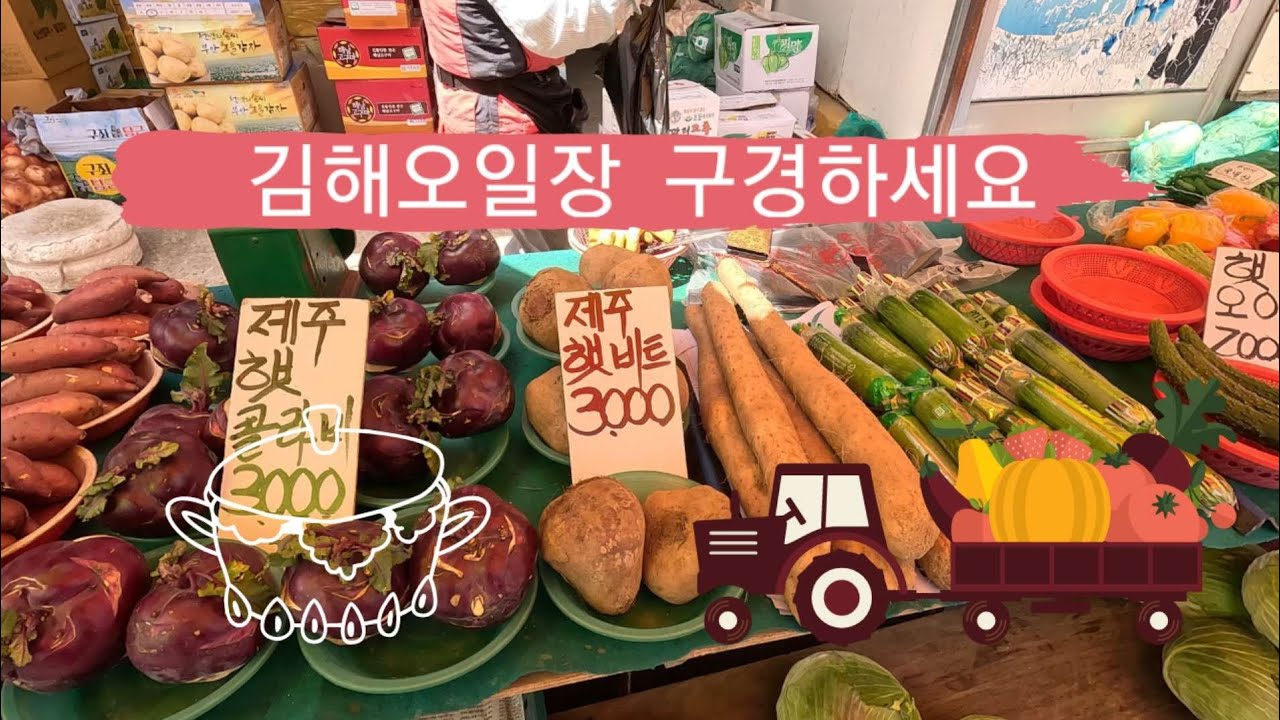 김해오일장 가보셨나요?