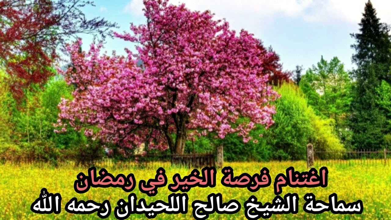 اغتنام فرصة الخير في رمضان - الشيخ صالح اللحيدان رحمه الله