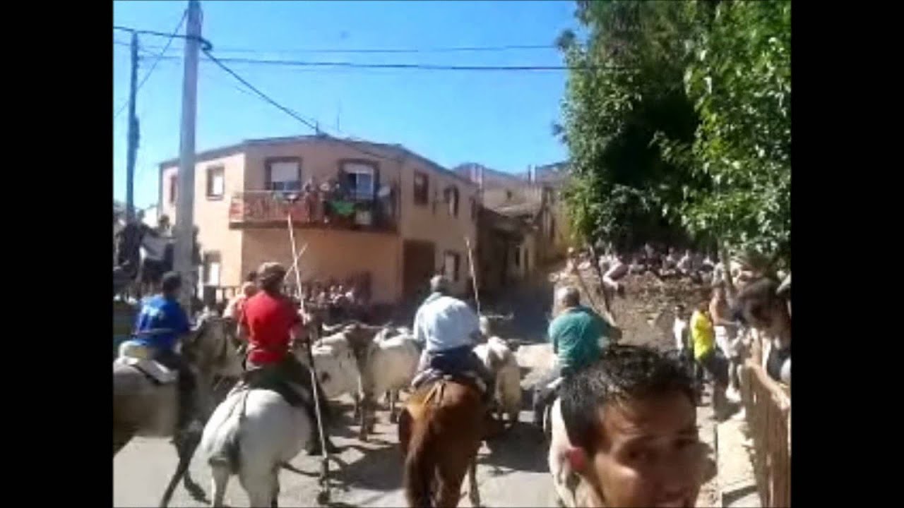 Toro del Aguardiente y Encierro Fuenteguinaldo domingo 2012