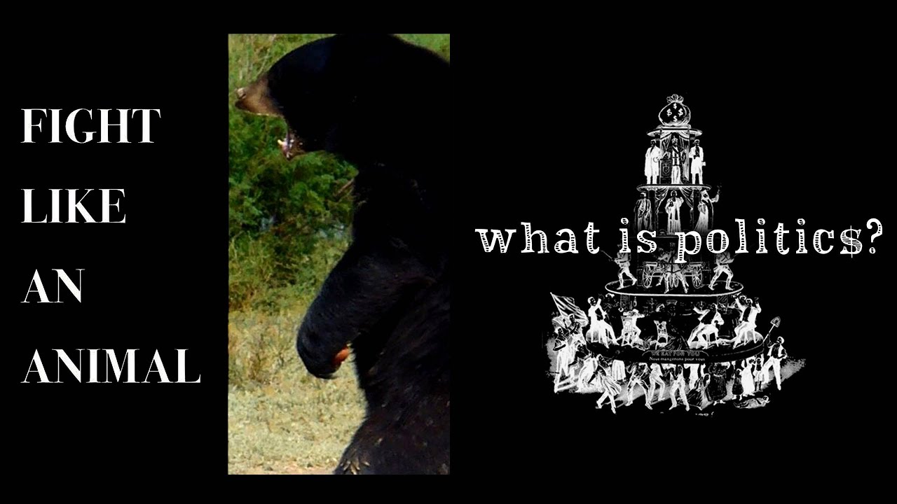 Interview: Fight Like an Animal / Arnold Schroeder part 2 | What is Politics?