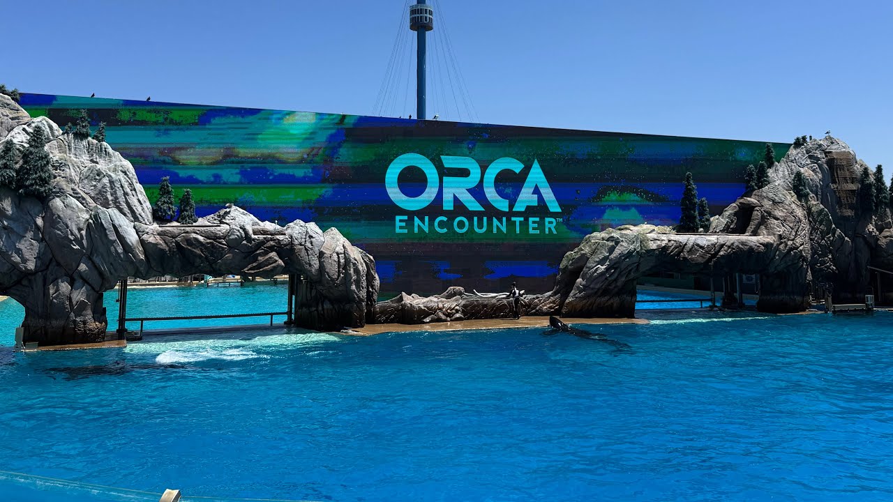 The INCREDIBLE Power of Orcas | Full 4K Orca Encounter at SeaWorld San Diego | August 2025