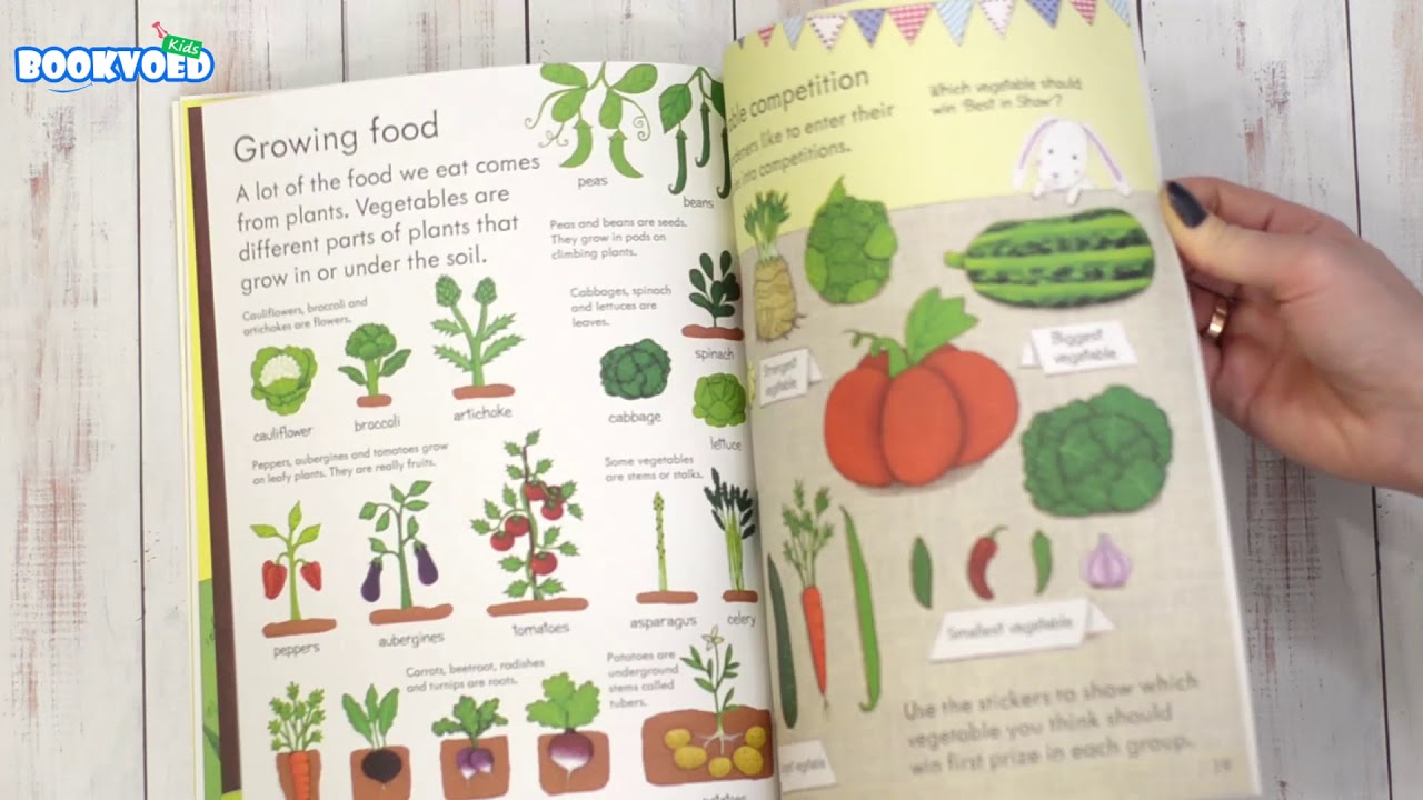 My first book about how things grow Usborne