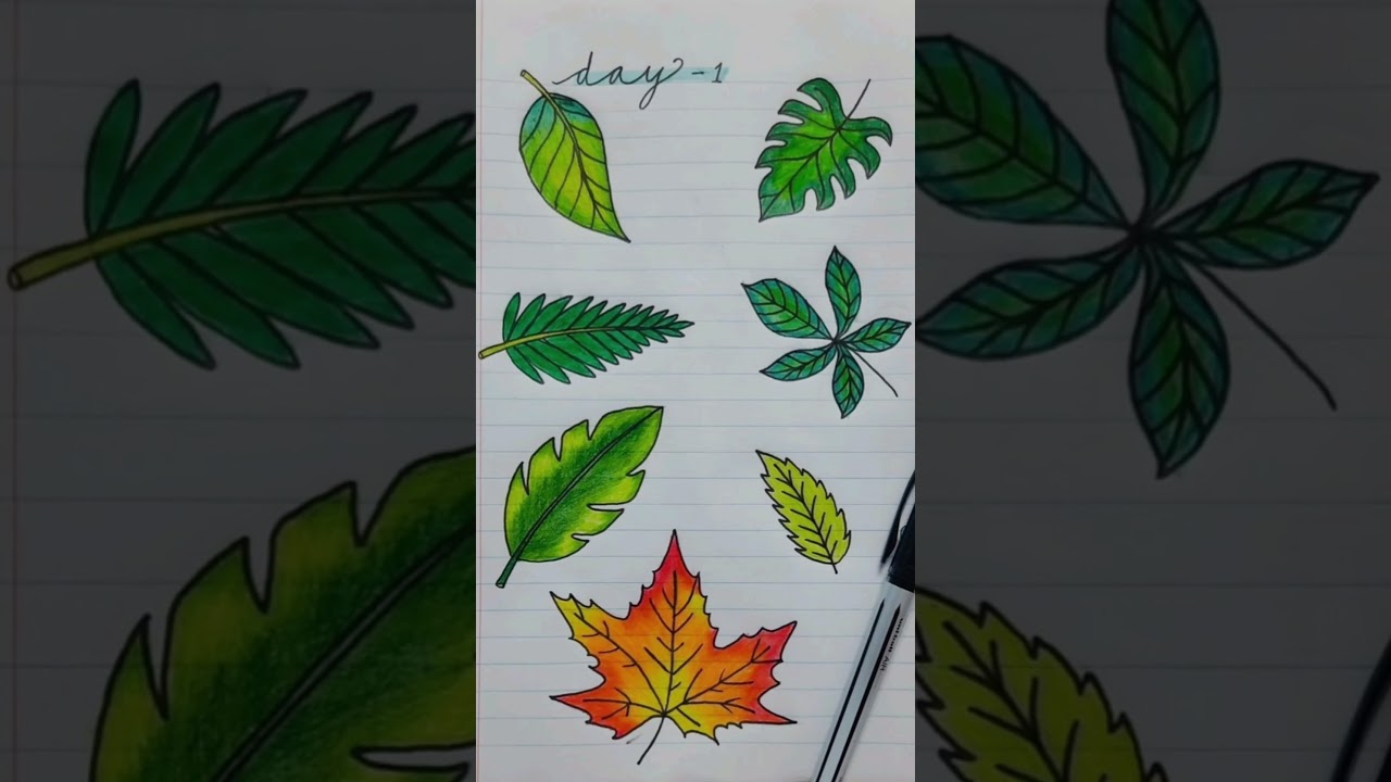 How to draw different types of leaves 🍃 | Beautiful drawing ideas 