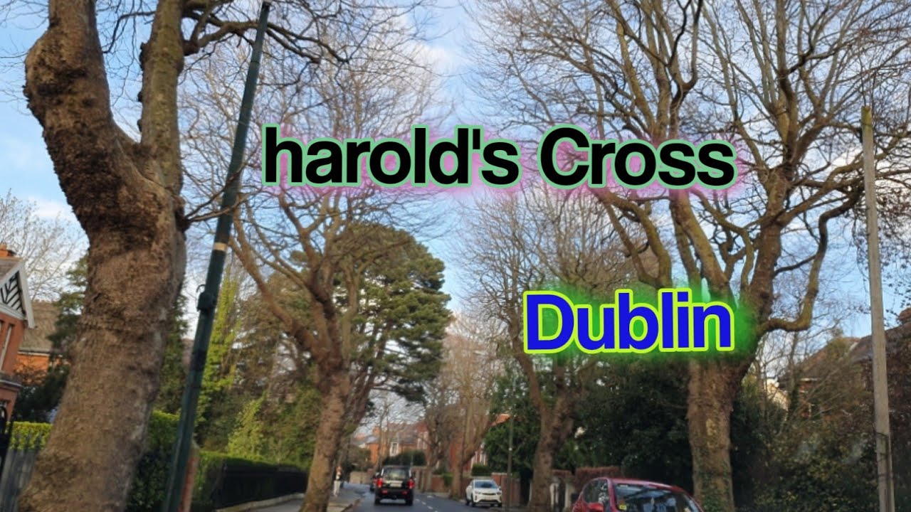 Harold Cross Dublin