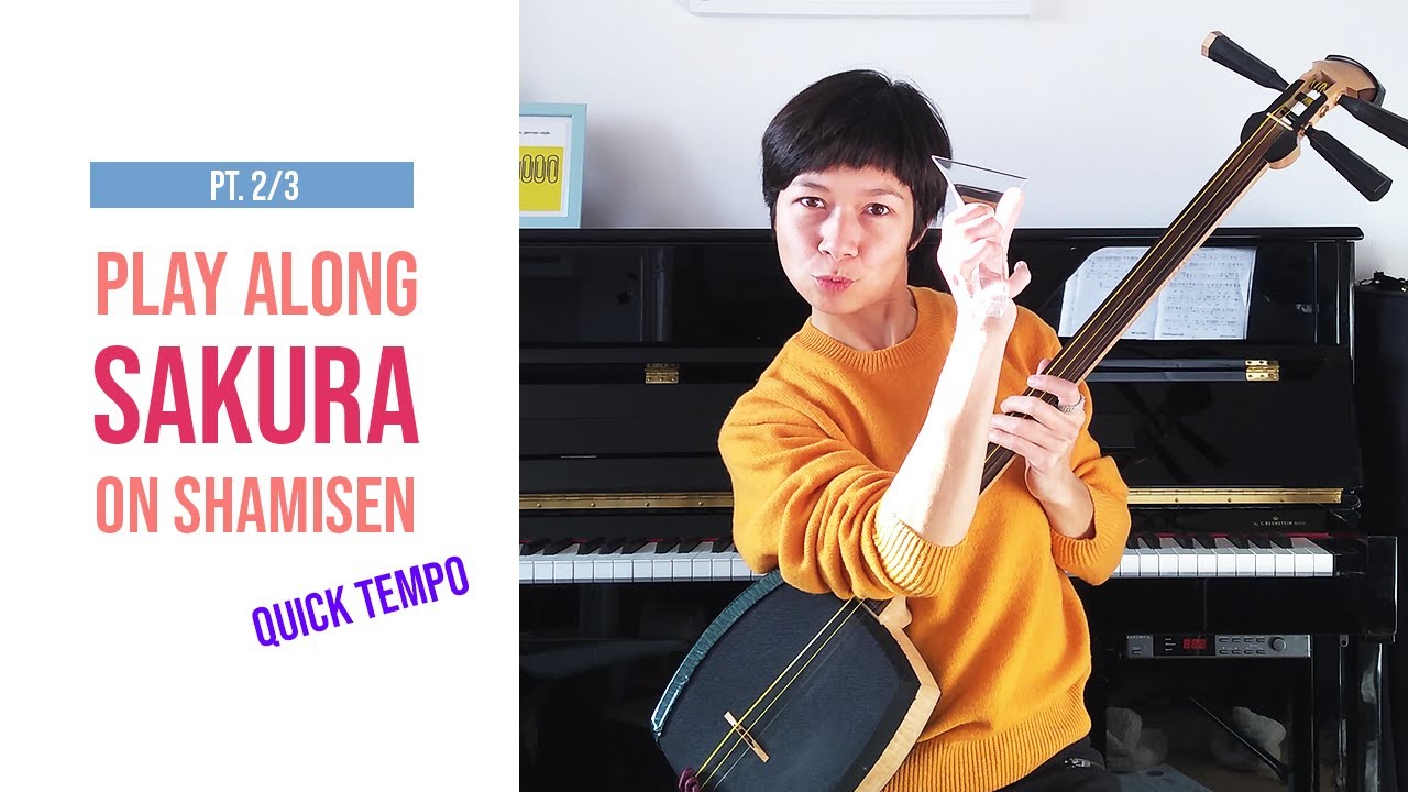 Sakura pt 2 | Play Along on Shamisen | quick tempo