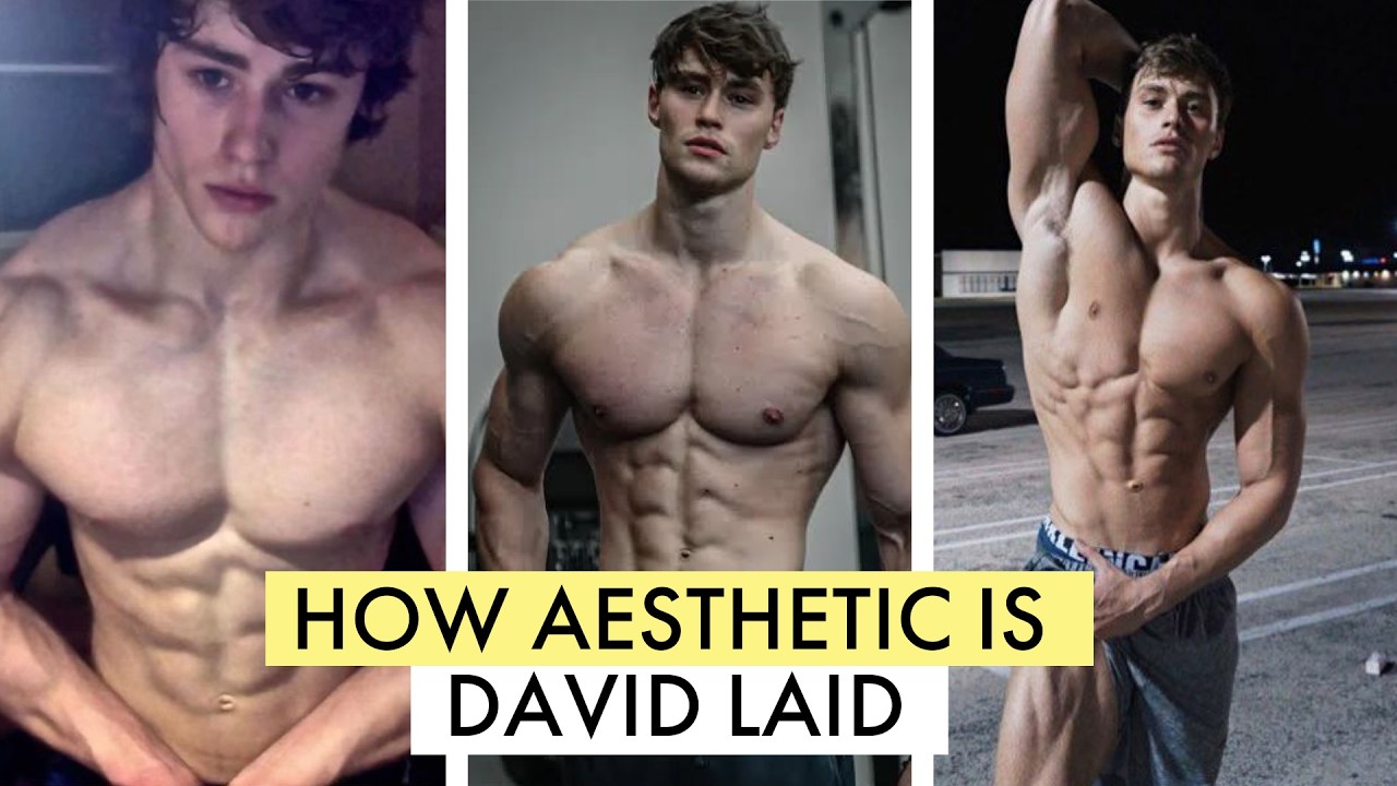 How Aesthetic is David Laid? - First Ever Physique Calculator