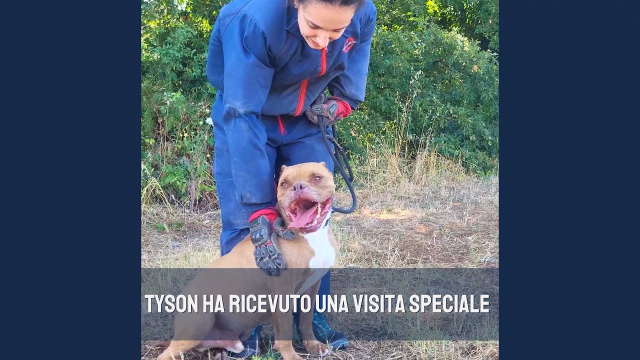 Tyson ha ricevuto una sorpresa speciale!