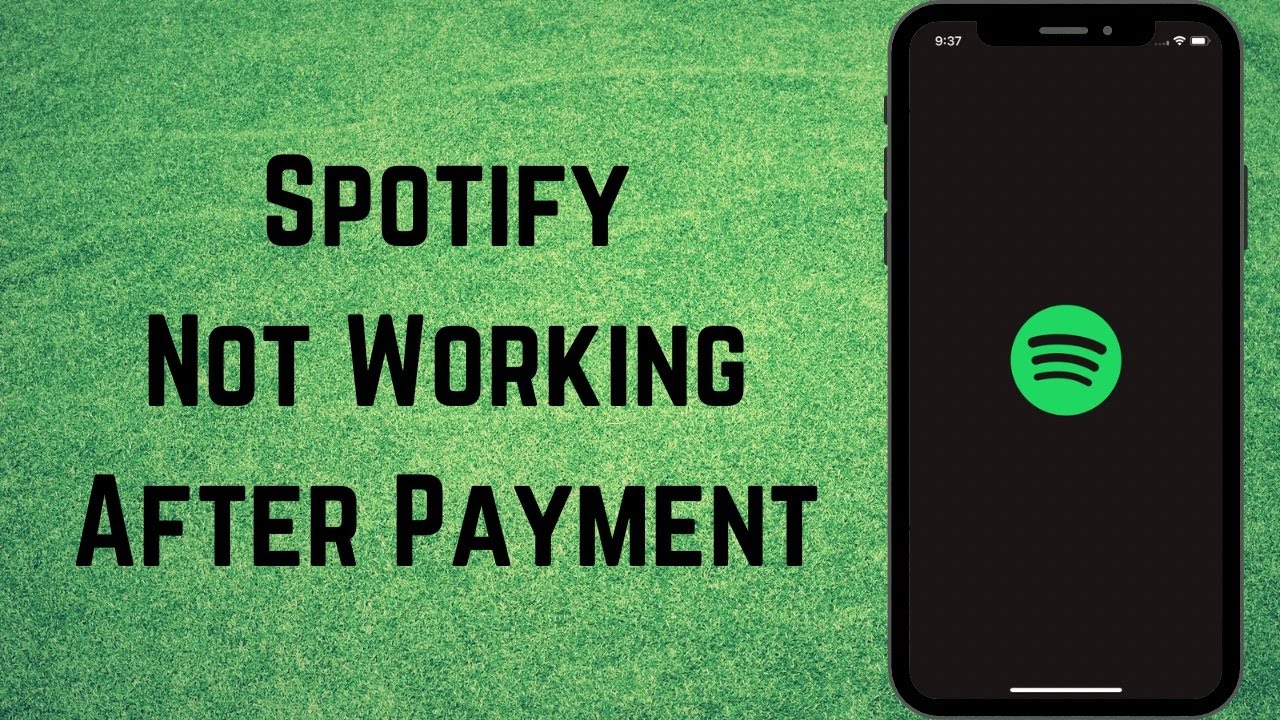 Как исправить неработающую подписку Spotify после оплаты на iPhone (2024)