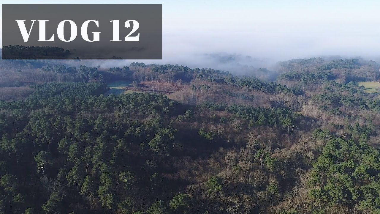 VLOG 12 - CHASSE TRICOLORE - Action !