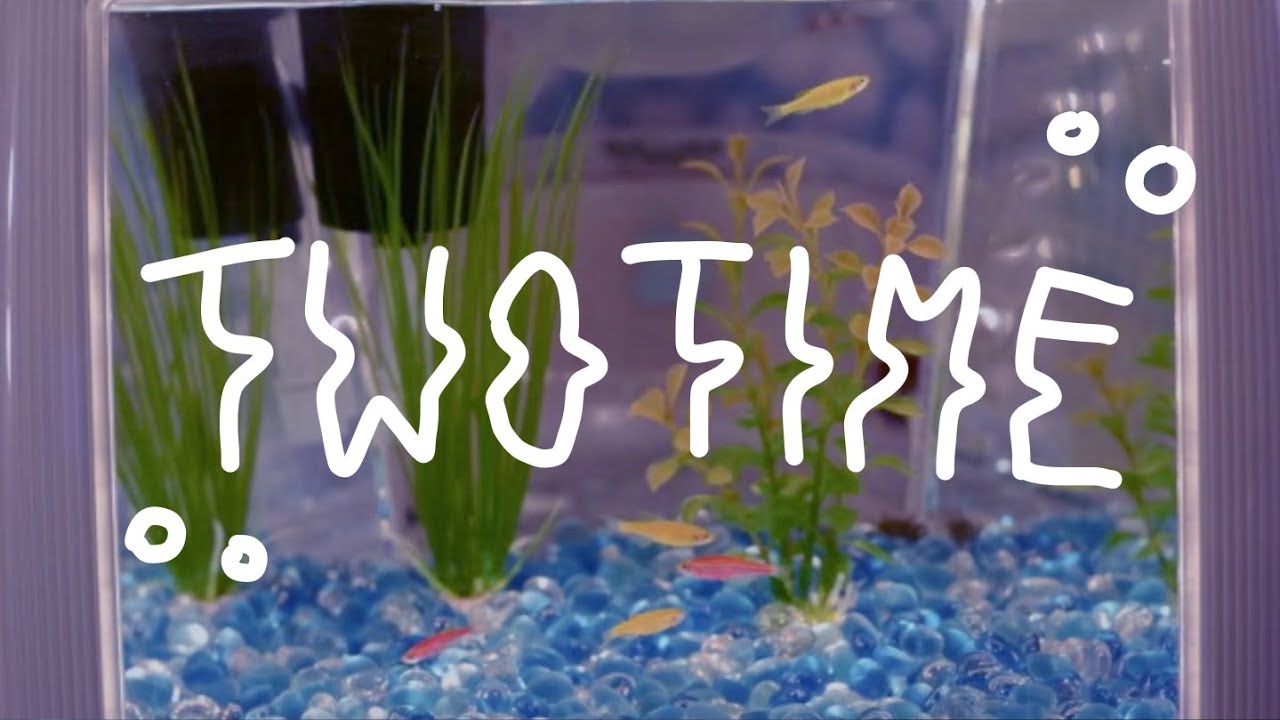 jack stauber ─ two time [full lyrics]