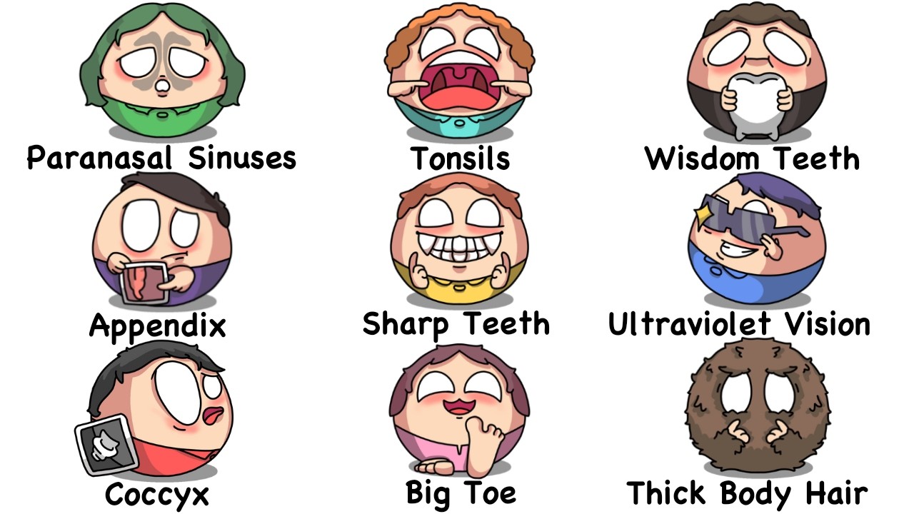 Every Human Trait That We Lost in 17 Minutes