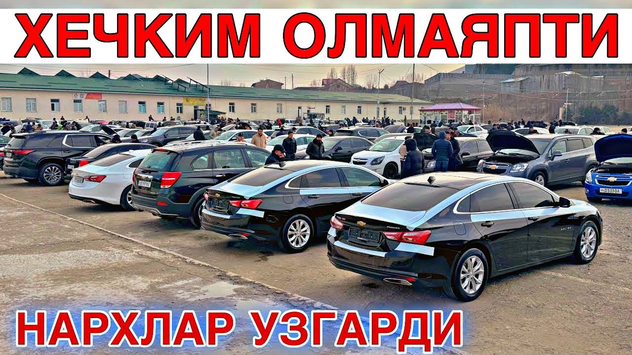 MALIBU NARXLARI SAMARQAND MOSHINABOZORI 2026. МАЛИБУ НАРХЛАРИ САМАРКАНД МОШИН БОЗОР 