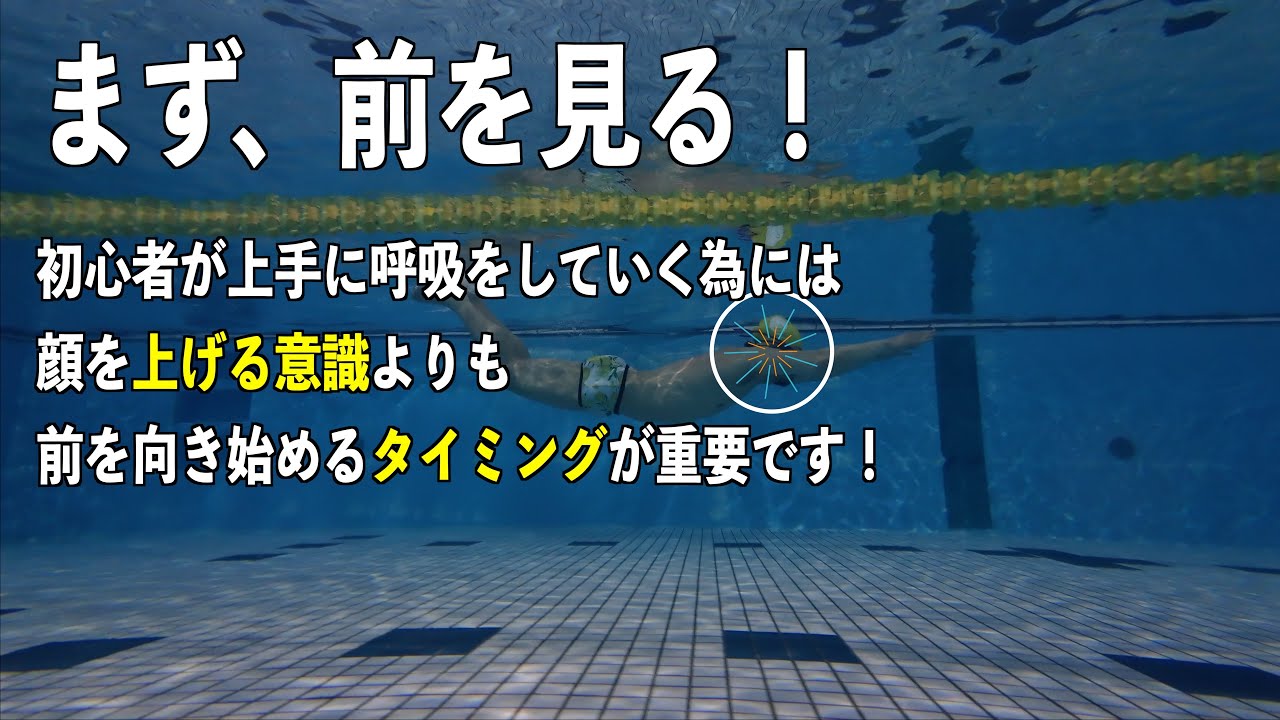 最初に前を見るとバタフライは呼吸をしやすくなります