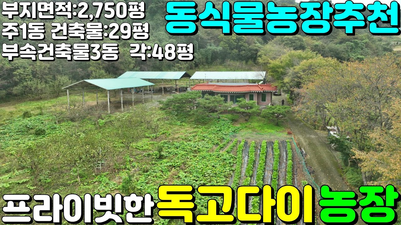 NO:4-274번#성주군땅#성주땅#성주군부동산#성주부동산#성주군금수강산면명천리귀농귀촌주택매매#성주군금수강산면명천리귀농주택매매#성주군금수강산면명천리귀촌주택매매#성주군금수강산면명천리땅