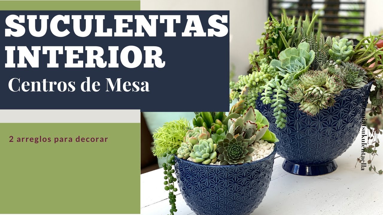 👩🏼‍🌾 Centros de Mesa para tu casa 🌵 plantas de interior