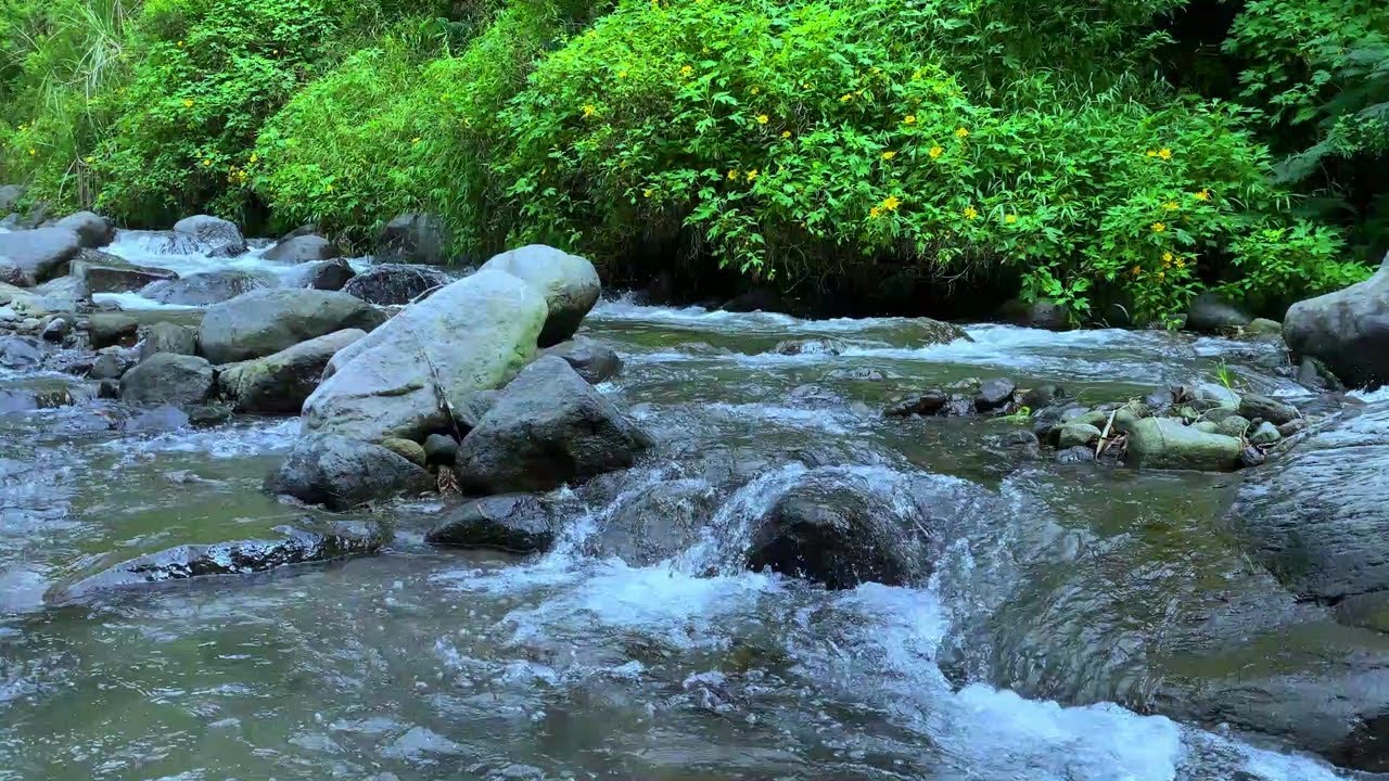 Gentle Water Ambience for Stress Relief