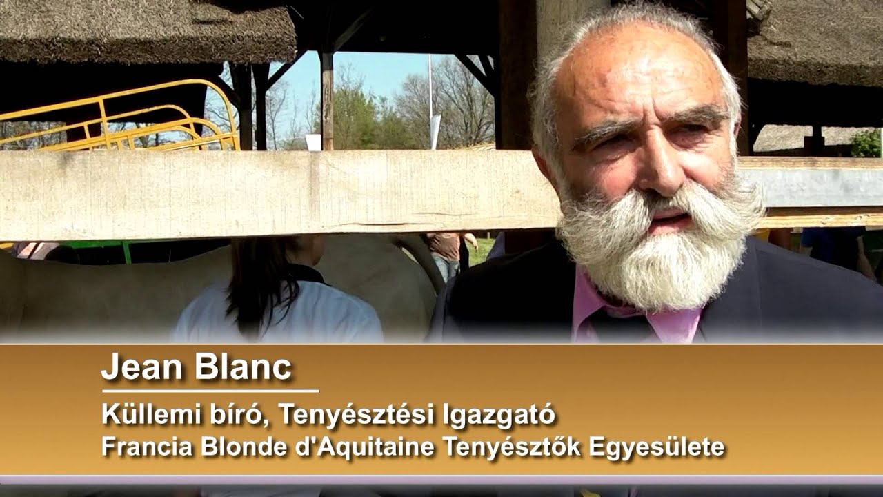 Limousin & Blonde d'Aquitaine Hungary 2015.