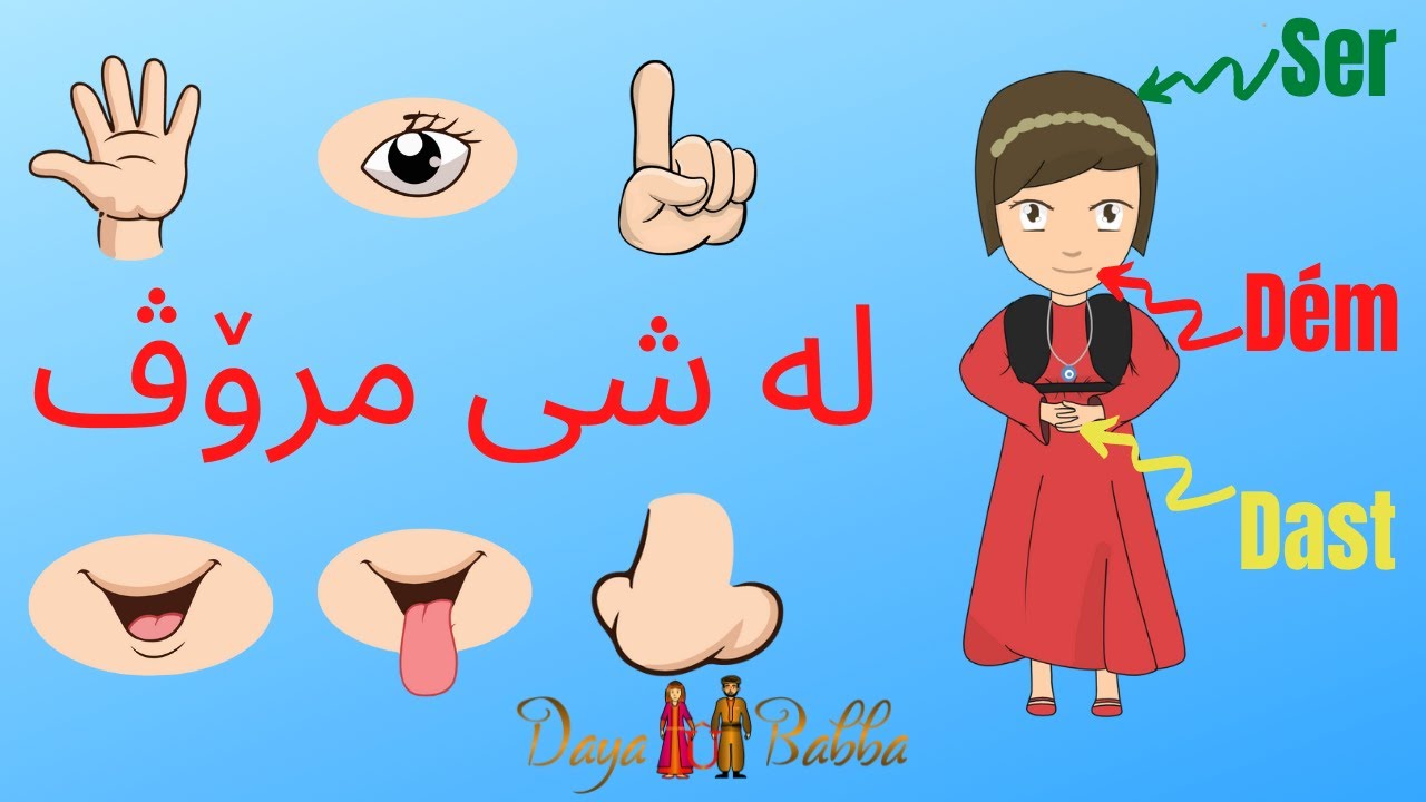 Body Parts in Kurdish ( Sorani ) - لەشی مرۆڤ بە كوردی  - Laşê Mirov Bi Zimanê Kurdî  ( Sorani )