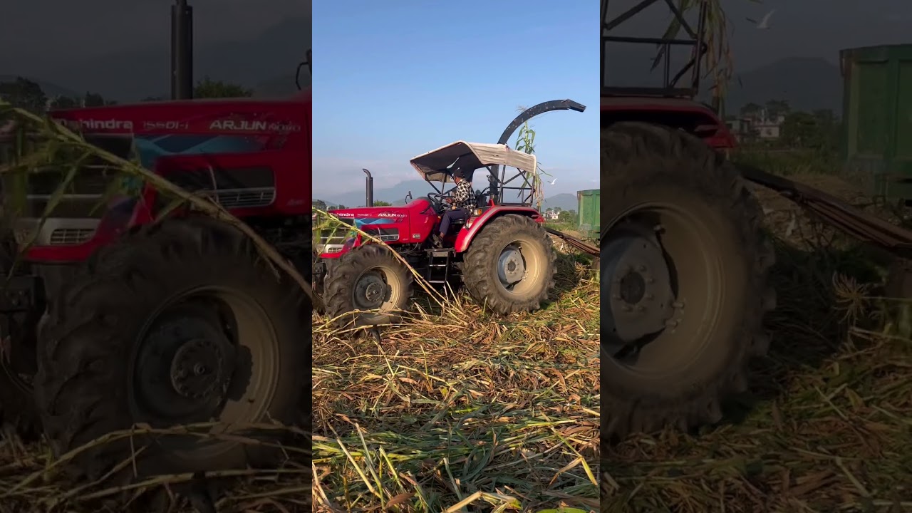 Agriculture