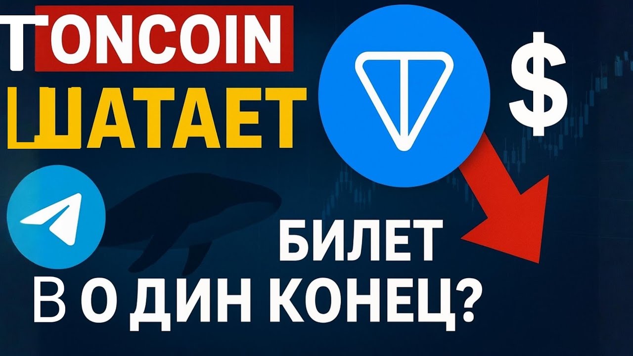 АНАЛИТИКА TONCOIN (TON) | Почему он падает? Киты, Nasdaq и будущее Телеграм.