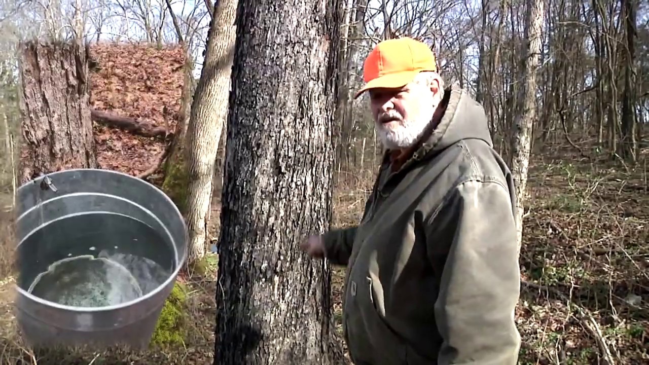 Ken McGarry Making Tennessee Maple Syrup