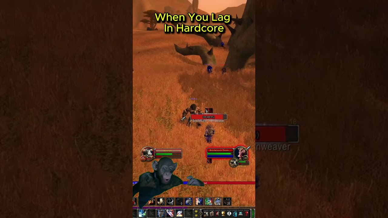 When You Lag in Hardcore WoW 