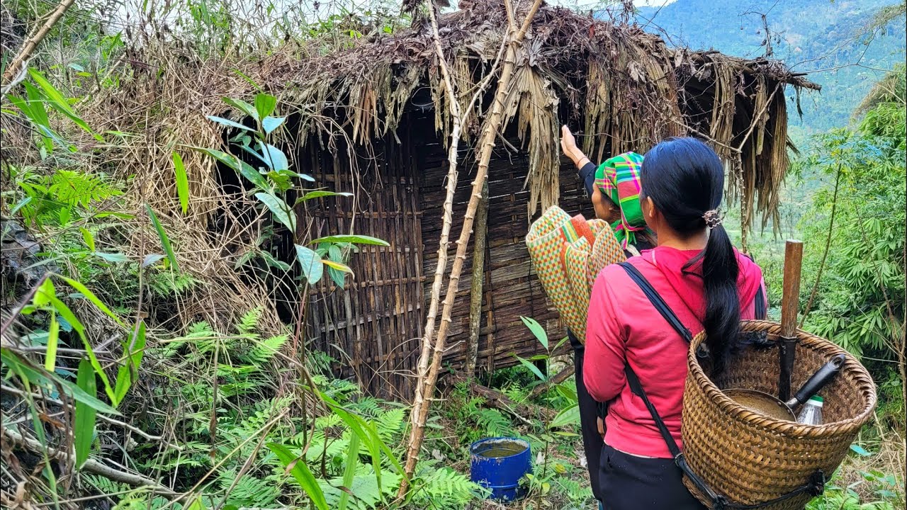 Full video: Kind woman donates bamboo house to poor homeless girl, giving her a place to live.