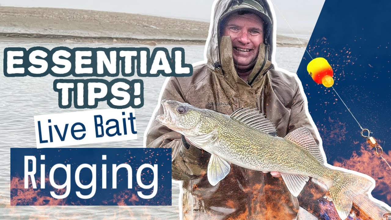 Up Your Lindy Rig Game: Sakakawea Recap
