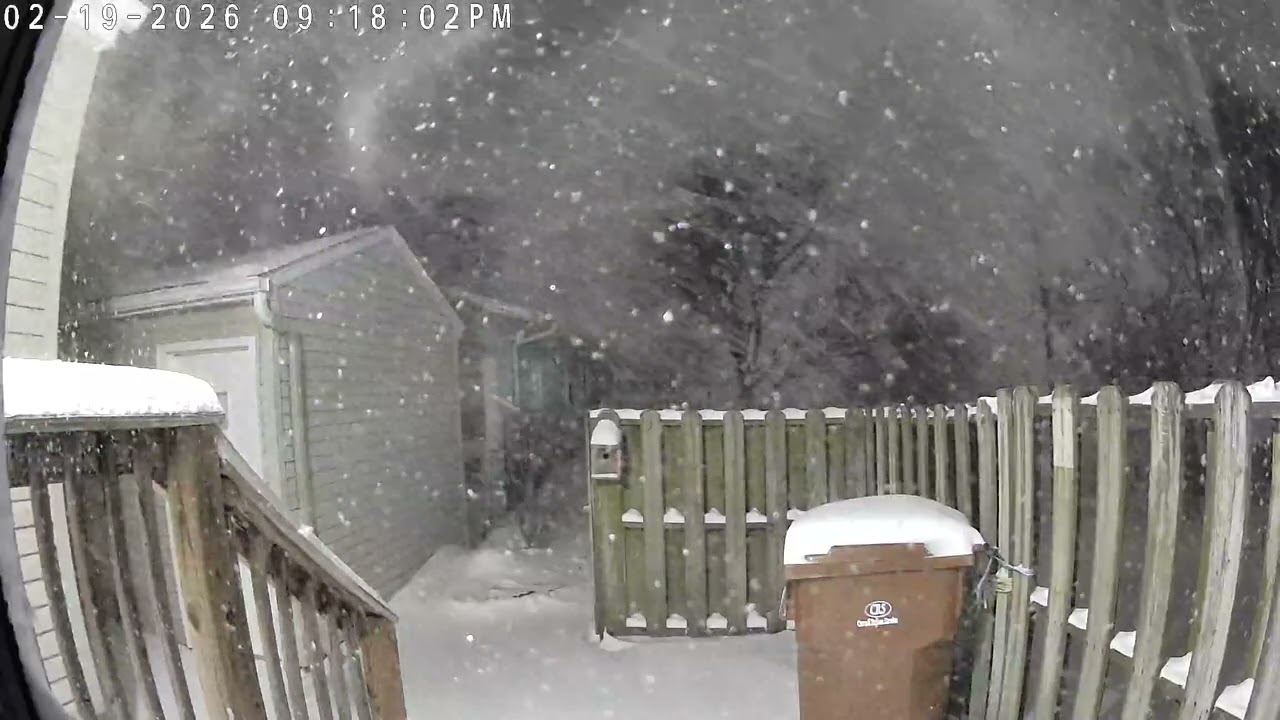 Snow Storm February 19, 2026