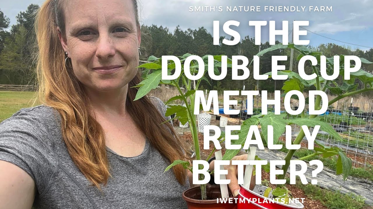 Is the double cup method for seedlings really better?