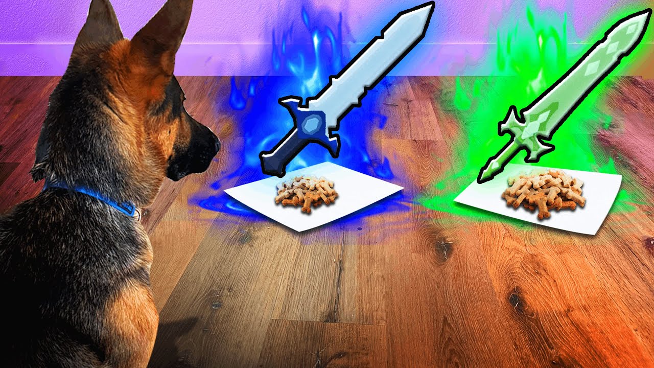 I Let MY DOG control my game in Roblox BedWars!
