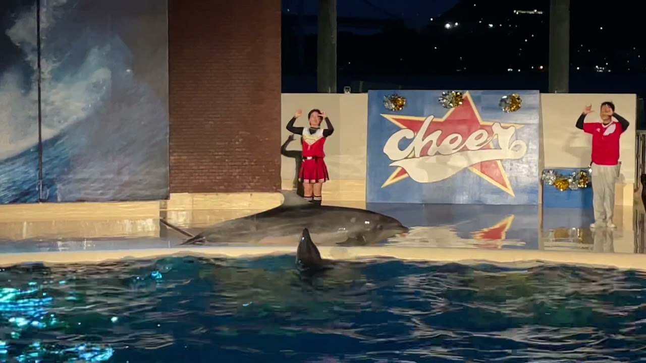 しものせき水族館 海響館 ナイトショー_2021/08/12