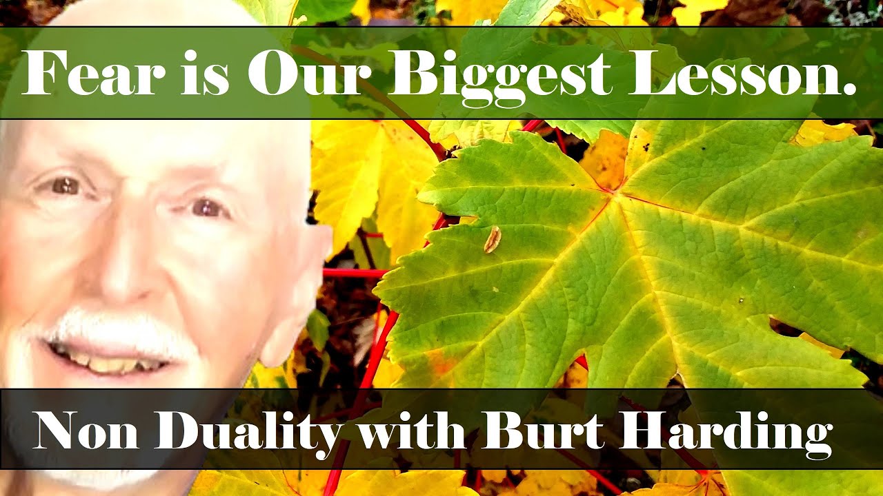 Non Duality - Fear is our biggest lesson!