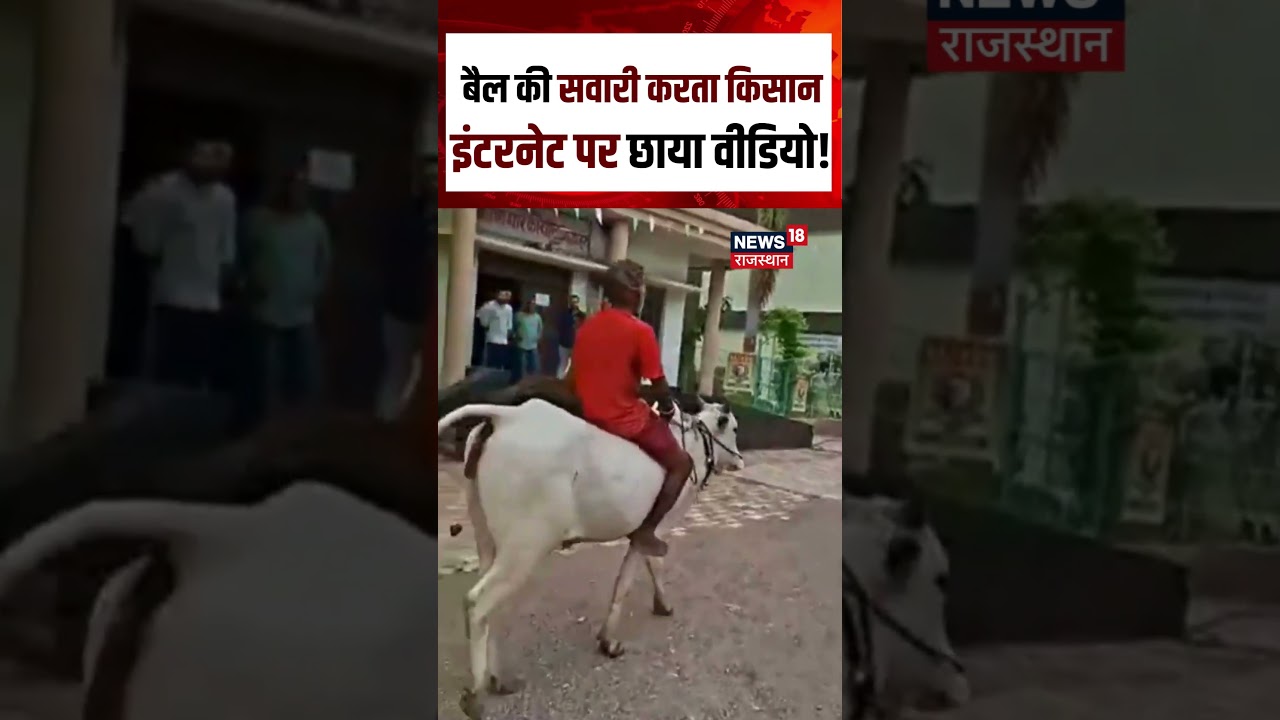 Viral Video : किसान का अनोखा अंदाज हुआ वायरल! | N18S | Viral News |  Top News | Viral News | Farmer
