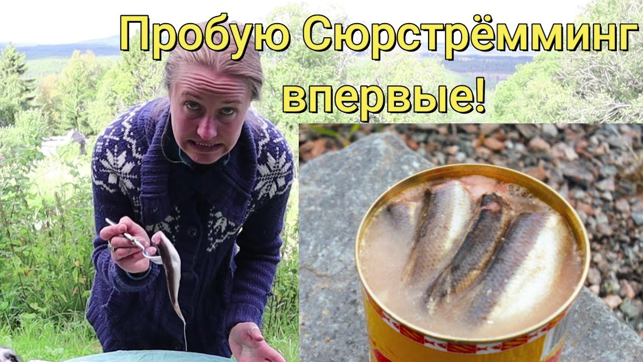 Пробую Сюрстрёмминг (Surströmming) впервые! Кислая вонючая рыба - шведский деликатес.