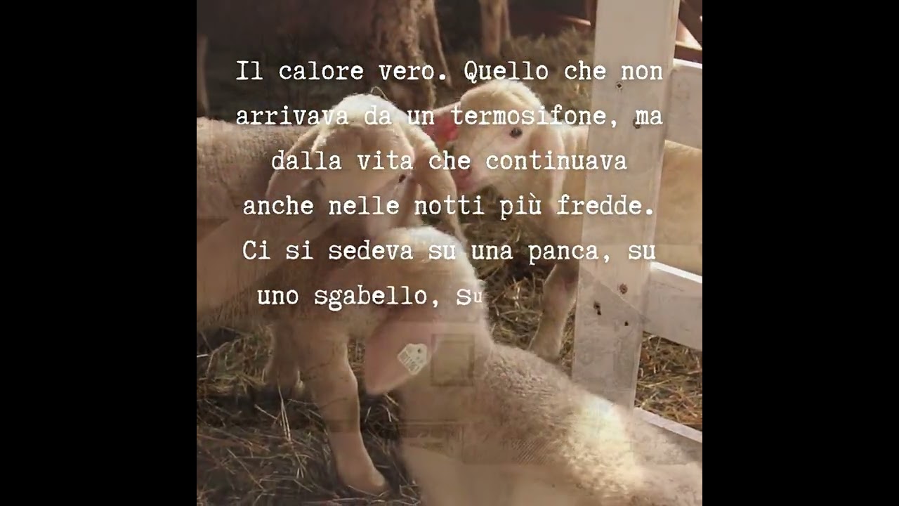 03 - Comune di La Thuile - Episodio 