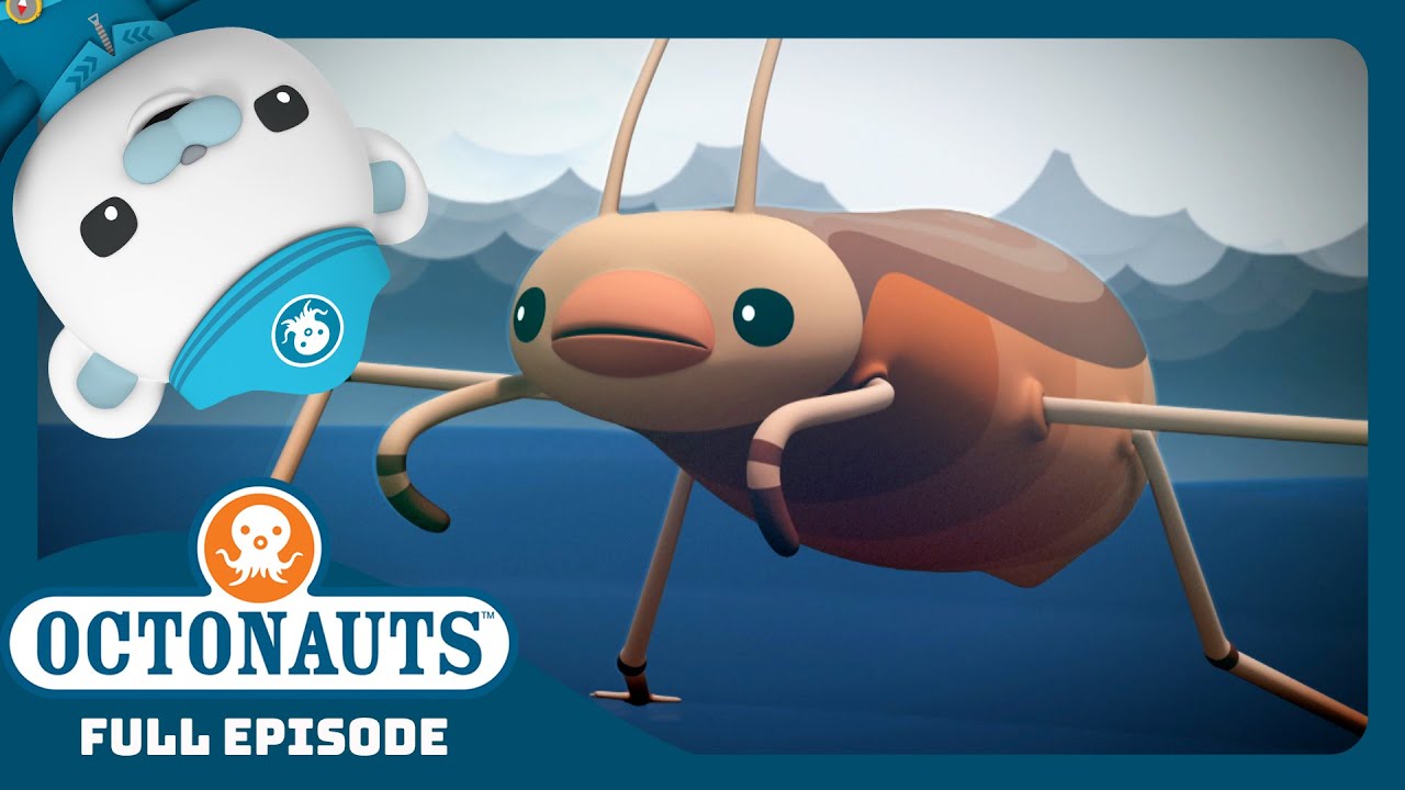 @Octonauts - 🌊 The Sea Skaters 🦟 | Season 3 | Full Episode | Cartoons for Kids