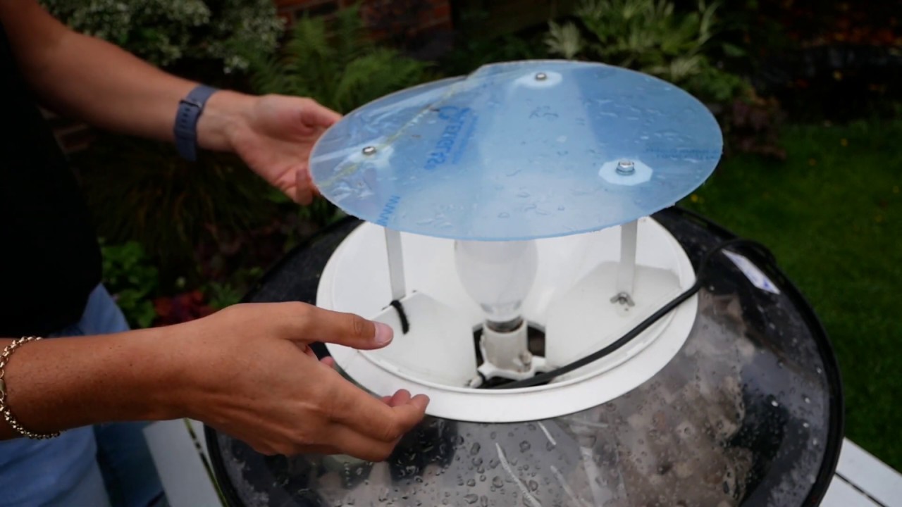 Moth Trapping and Recording - Manchester Festival of Nature 2020